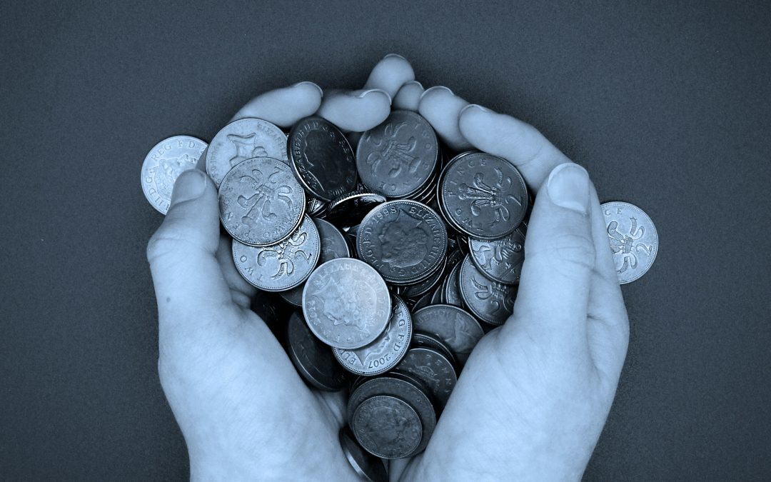 Best budget web design options for startups