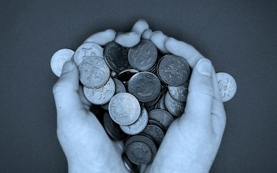 Best budget web design options for startups